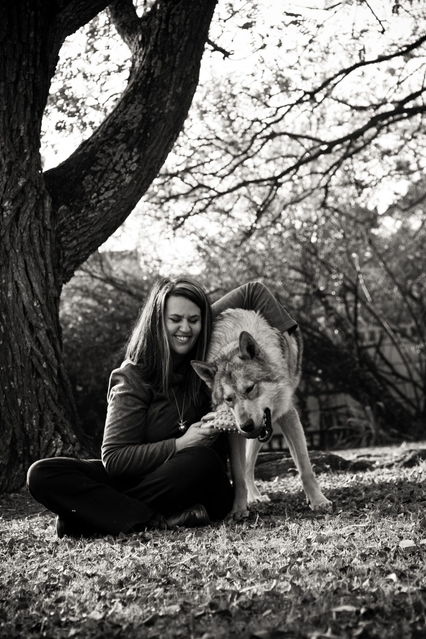 Animal Communication Workshop