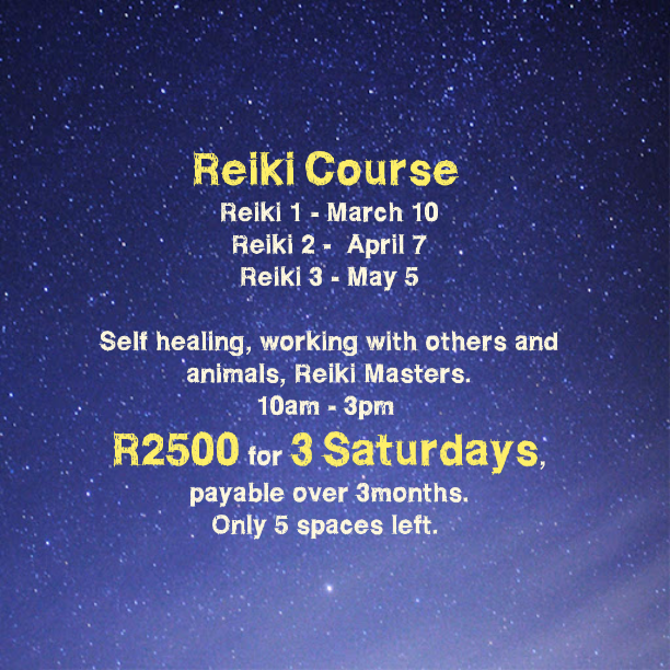 Reiki Masters